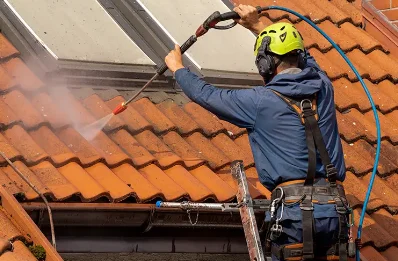 Démoussage et hydrofuge de toiture à Gaillard
